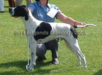 BPIB & 1st Puppy Dog